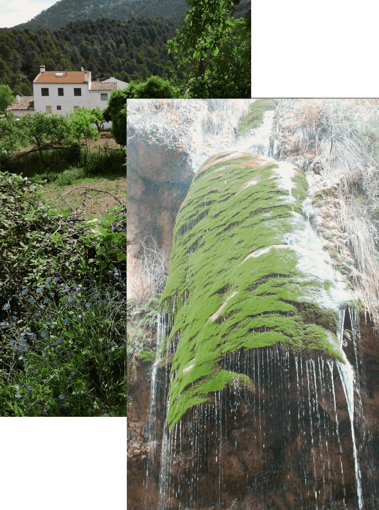 alrededores casas rurales segura natura la puerta de la sierra